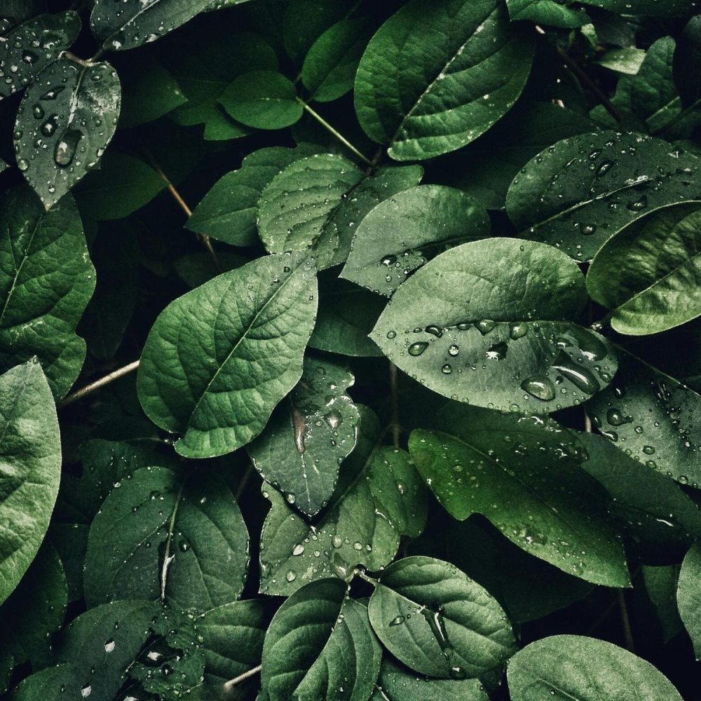 pexels-sohi-807598.jpg